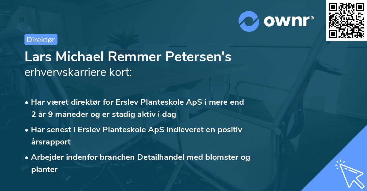 Lars Michael Remmer Petersen's erhvervskarriere kort