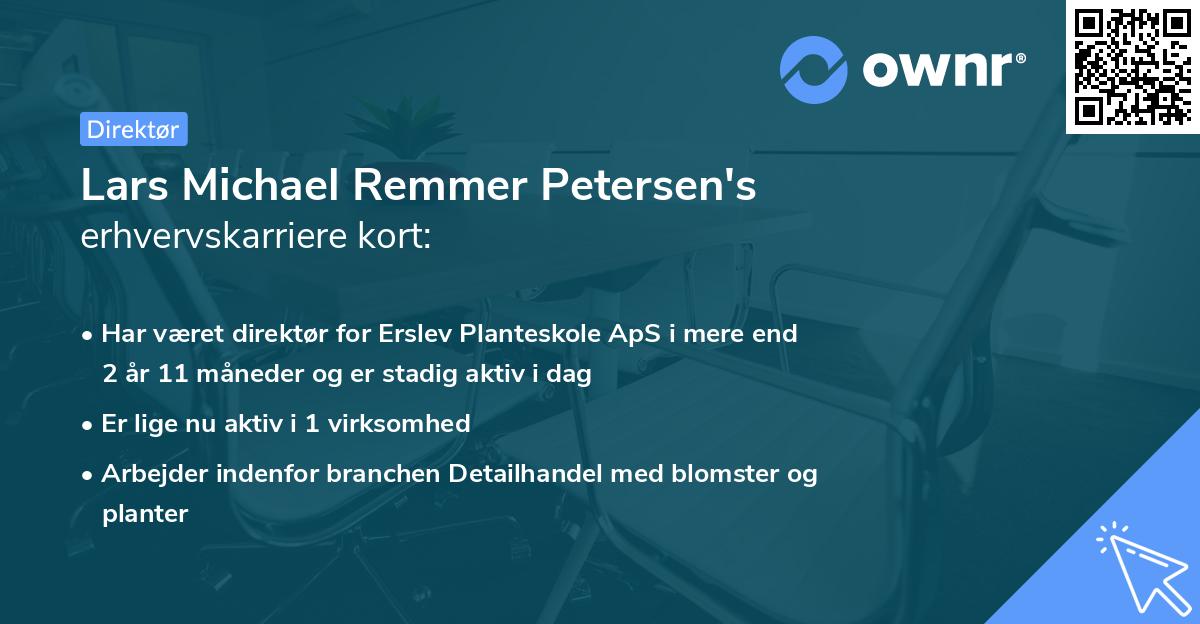 Lars Michael Remmer Petersen's erhvervskarriere kort