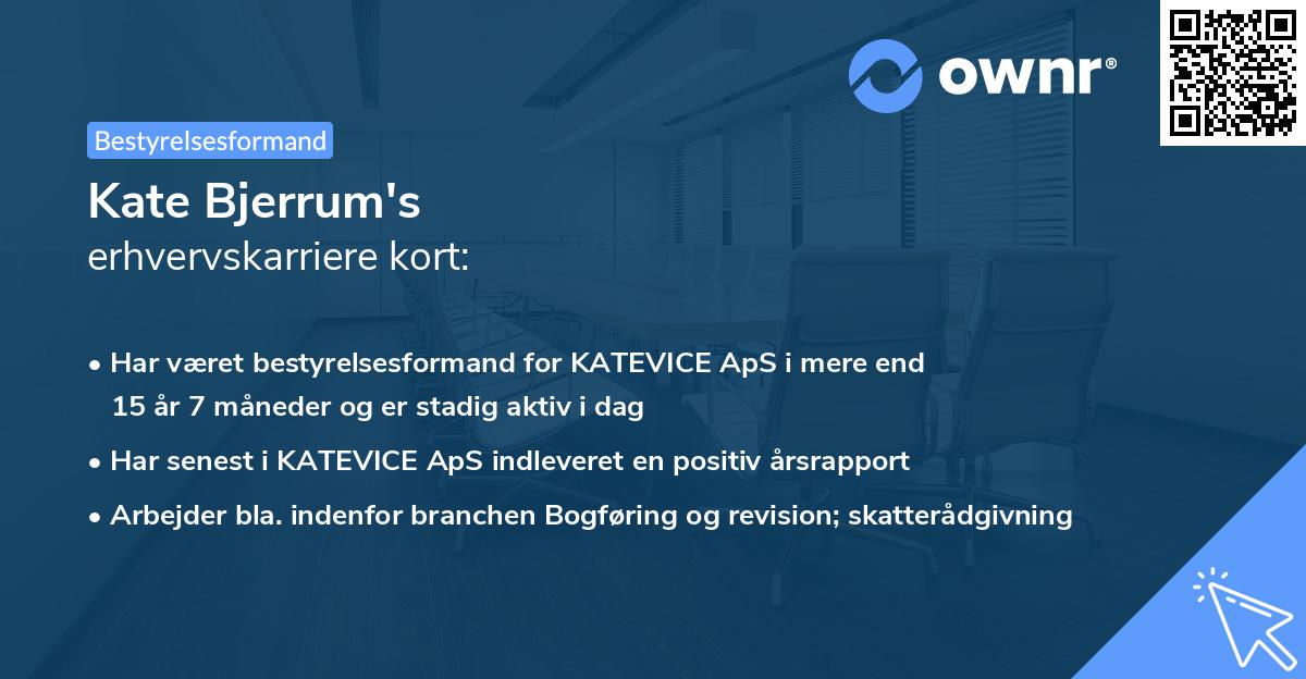 Kate Bjerrum's erhvervskarriere kort