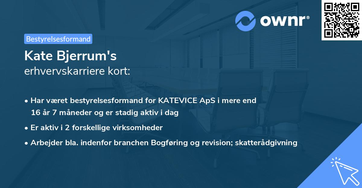 Kate Bjerrum's erhvervskarriere kort