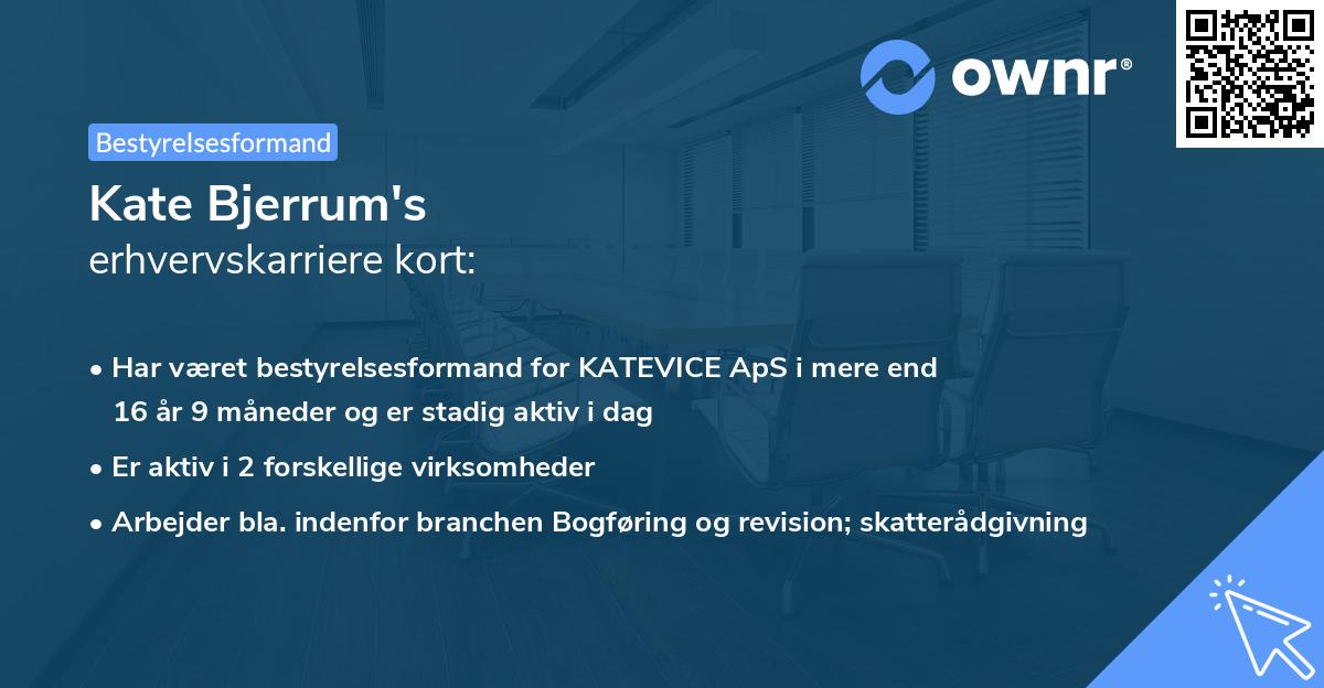 Kate Bjerrum's erhvervskarriere kort