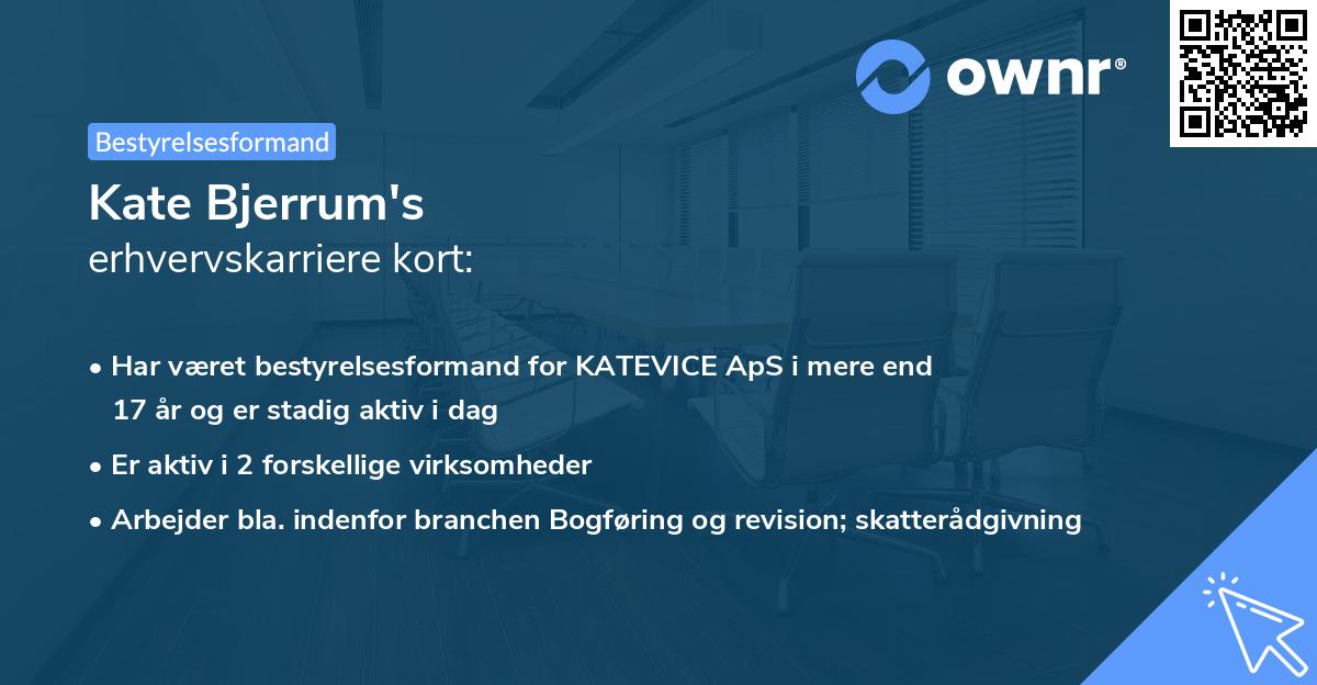 Kate Bjerrum's erhvervskarriere kort