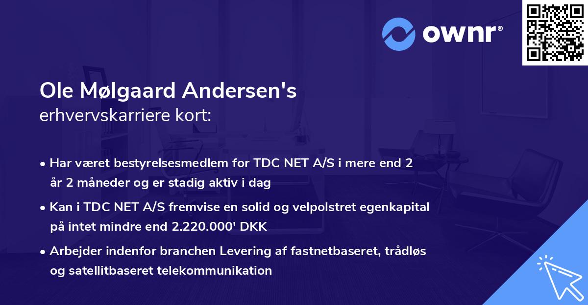 Ole Mølgaard Andersen's erhvervskarriere kort