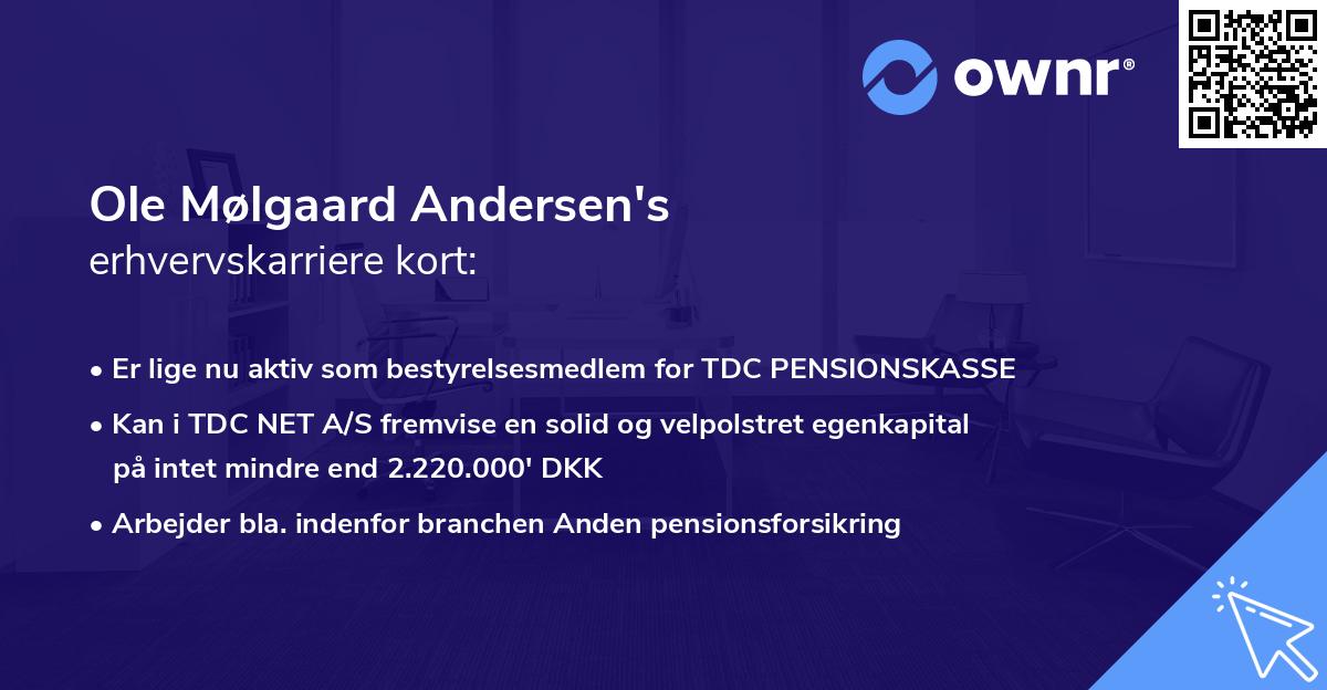 Ole Mølgaard Andersen's erhvervskarriere kort