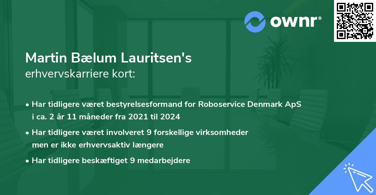 Martin Bælum Lauritsen's erhvervskarriere kort