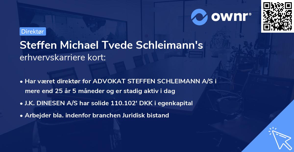 Steffen Michael Tvede Schleimann's erhvervskarriere kort