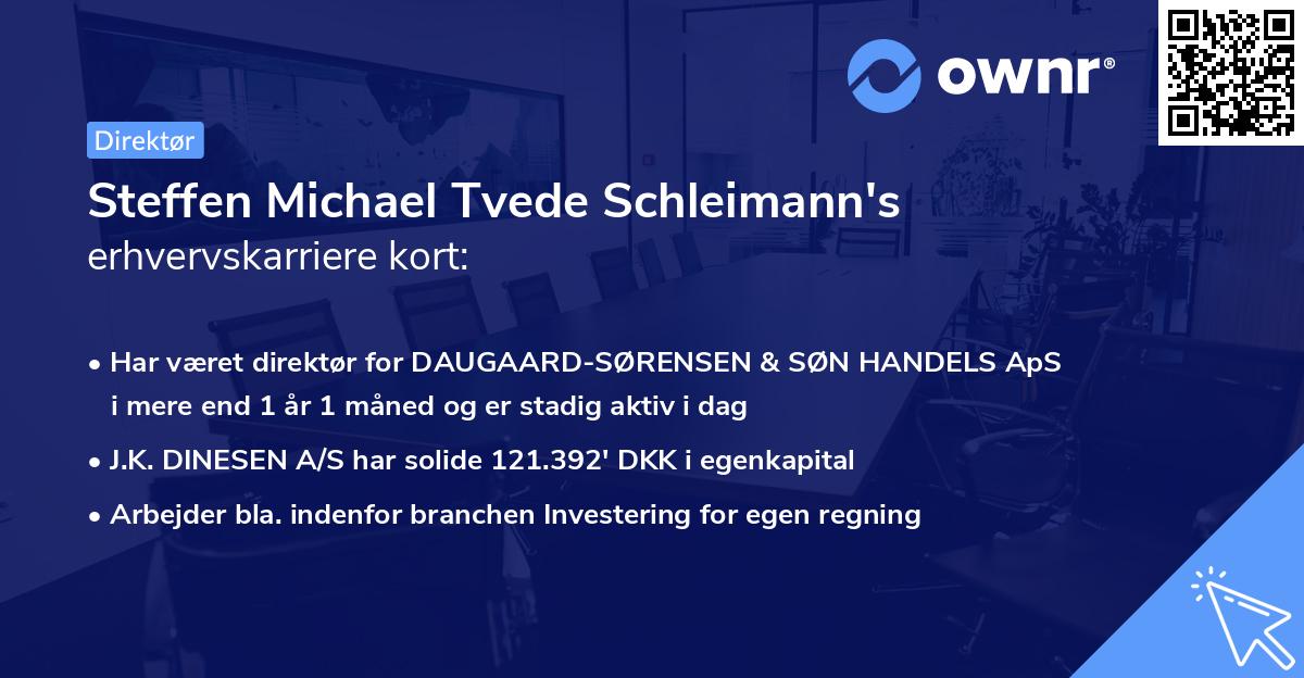 Steffen Michael Tvede Schleimann's erhvervskarriere kort