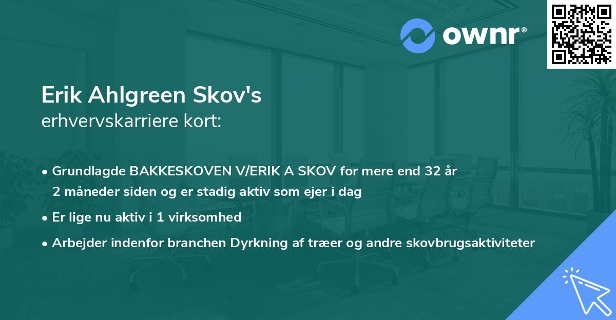 Erik Ahlgreen Skov's erhvervskarriere kort