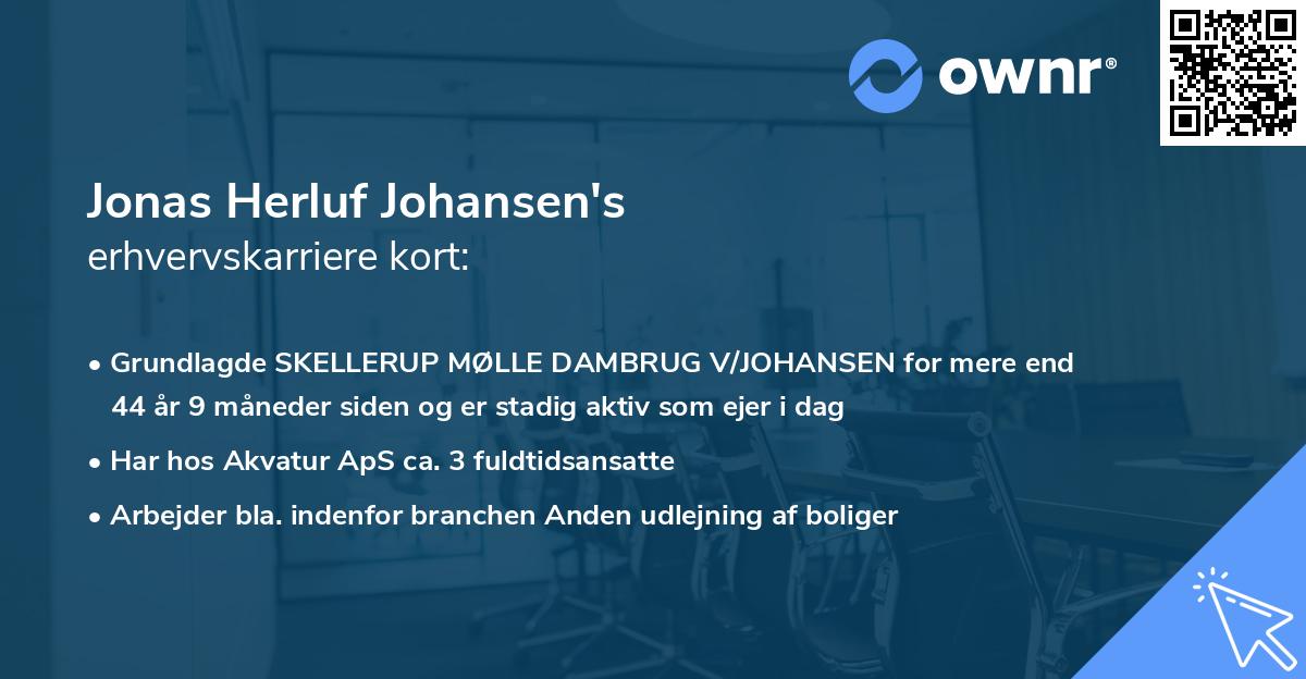 Jonas Herluf Johansen's erhvervskarriere kort