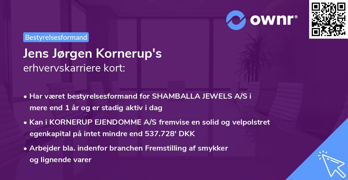 Jens Jørgen Kornerup's erhvervskarriere kort