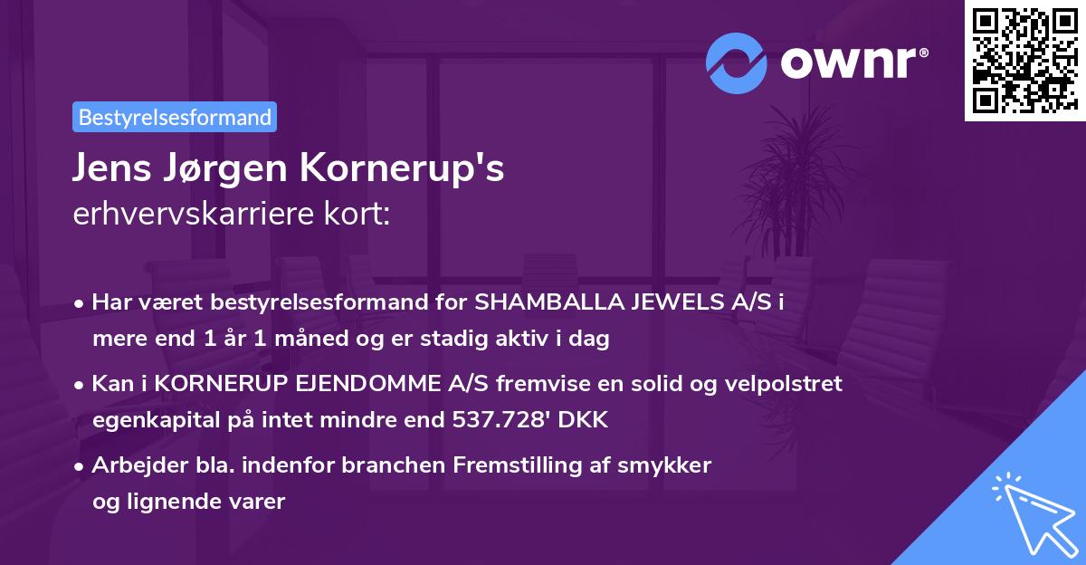 Jens Jørgen Kornerup's erhvervskarriere kort
