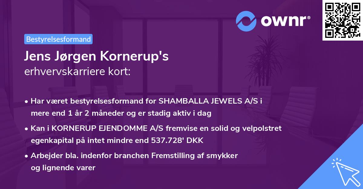 Jens Jørgen Kornerup's erhvervskarriere kort