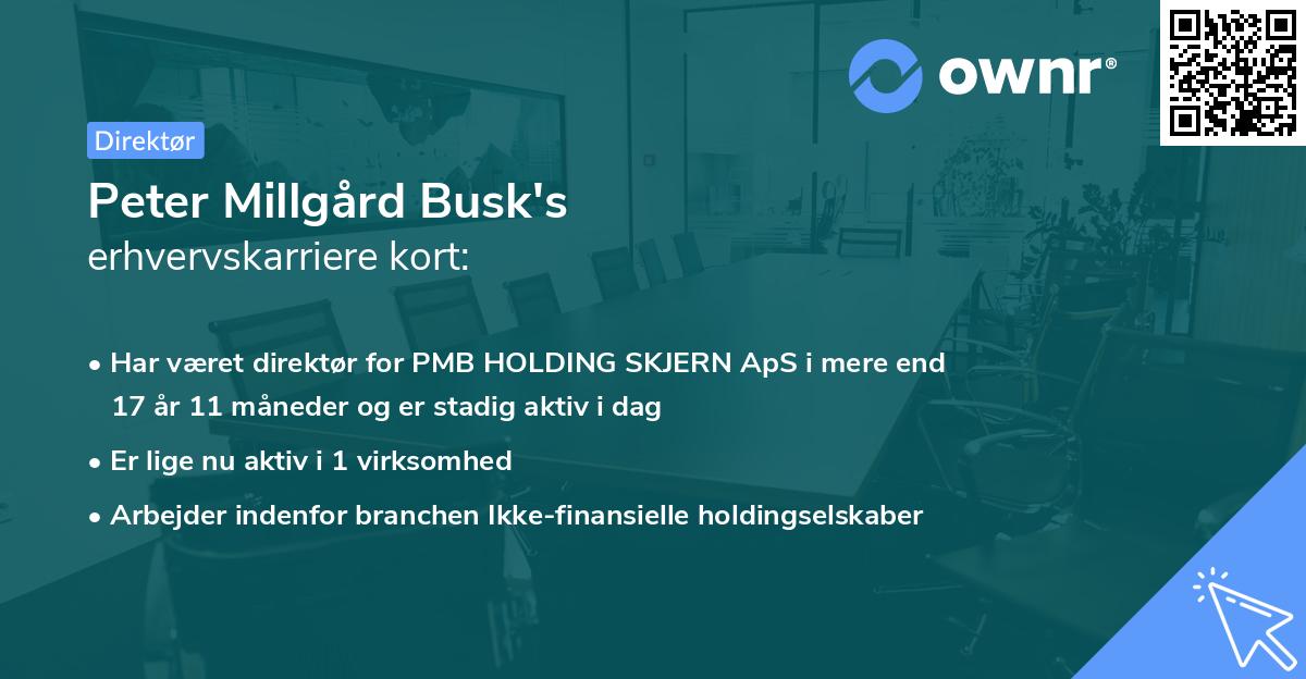 Peter Millgård Busk's erhvervskarriere kort