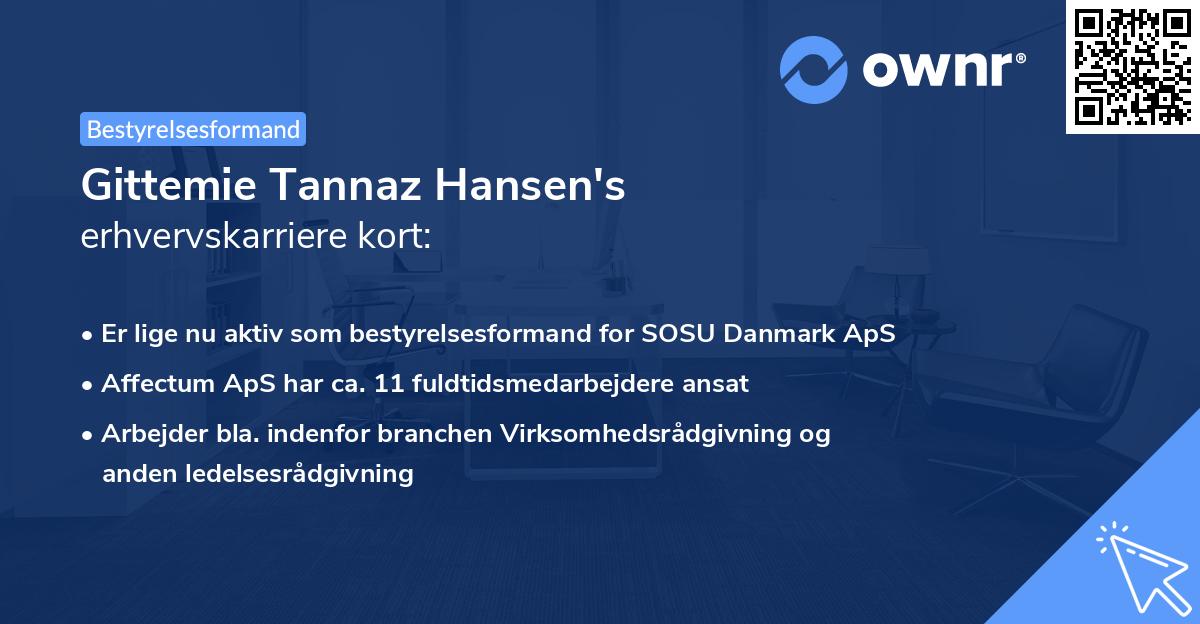Gittemie Tannaz Hansen's erhvervskarriere kort