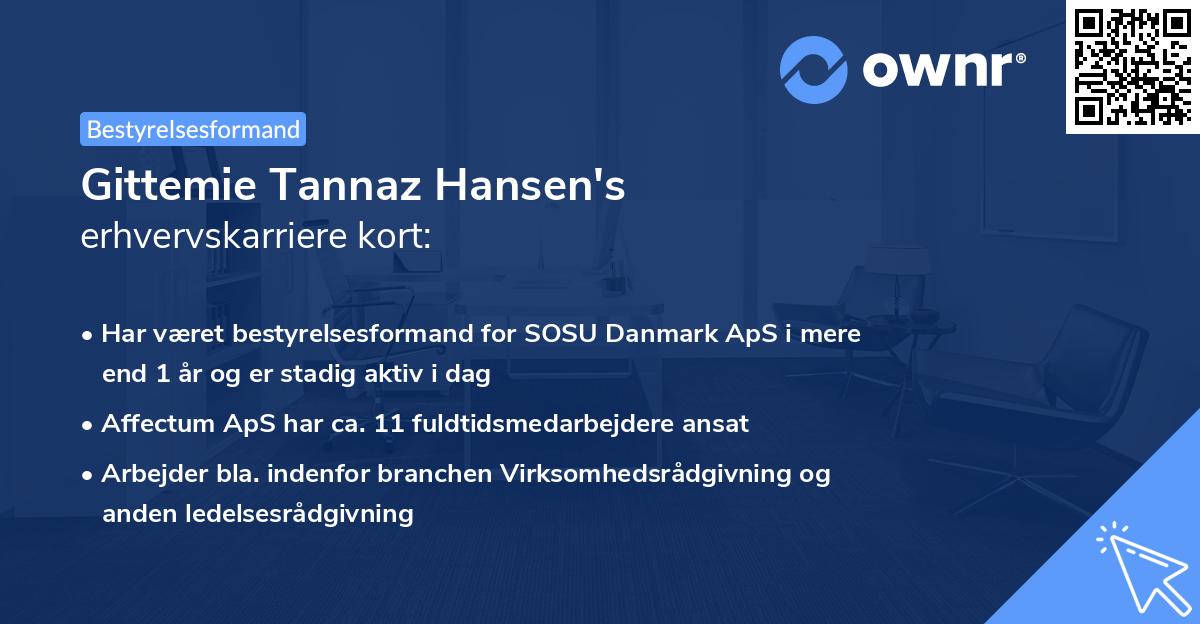 Gittemie Tannaz Hansen's erhvervskarriere kort