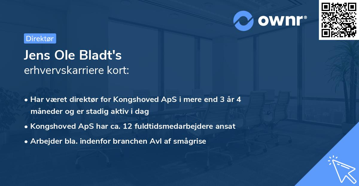 Jens Ole Bladt's erhvervskarriere kort