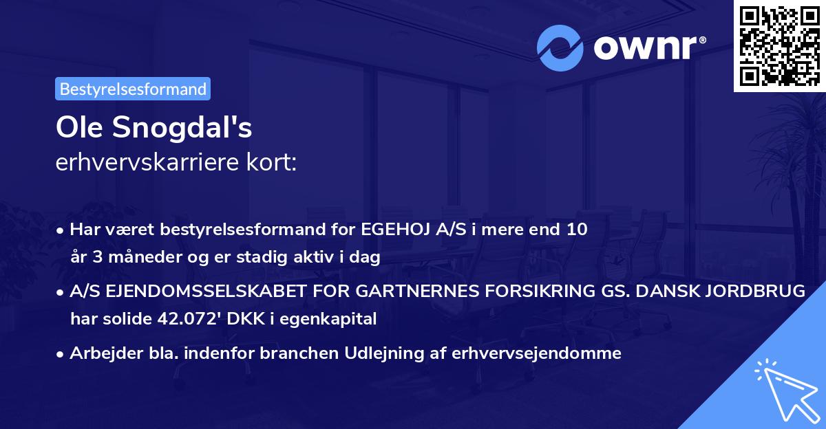 Ole Snogdal's erhvervskarriere kort