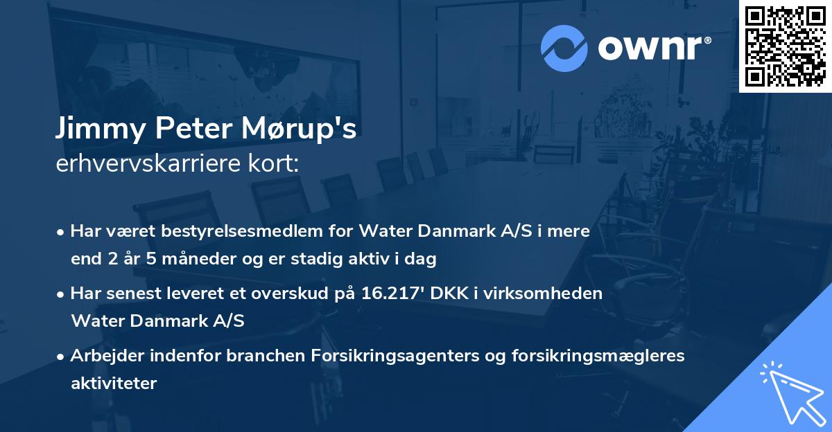 Jimmy Peter Mørup's erhvervskarriere kort