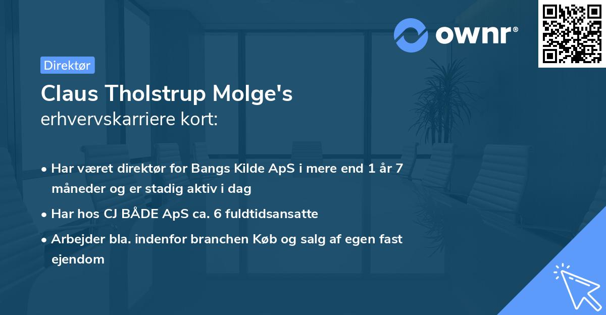 Claus Tholstrup Molge's erhvervskarriere kort