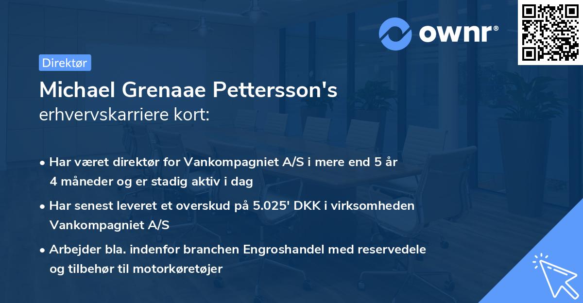 Michael Grenaae Pettersson's erhvervskarriere kort