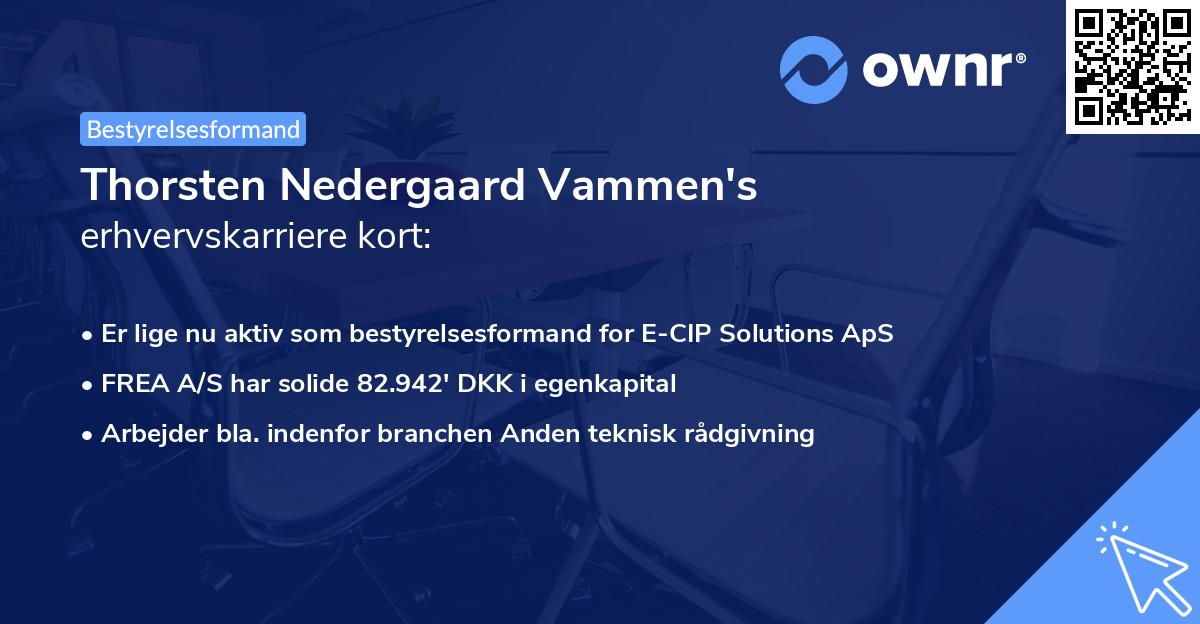 Thorsten Nedergaard Vammen's erhvervskarriere kort