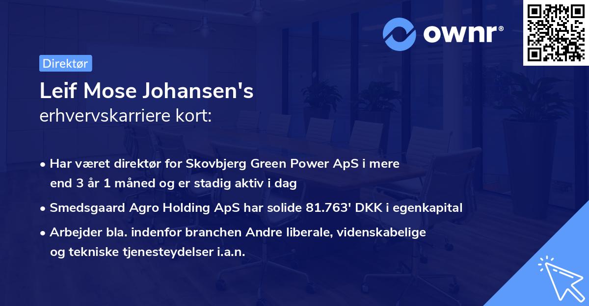 Leif Mose Johansen's erhvervskarriere kort