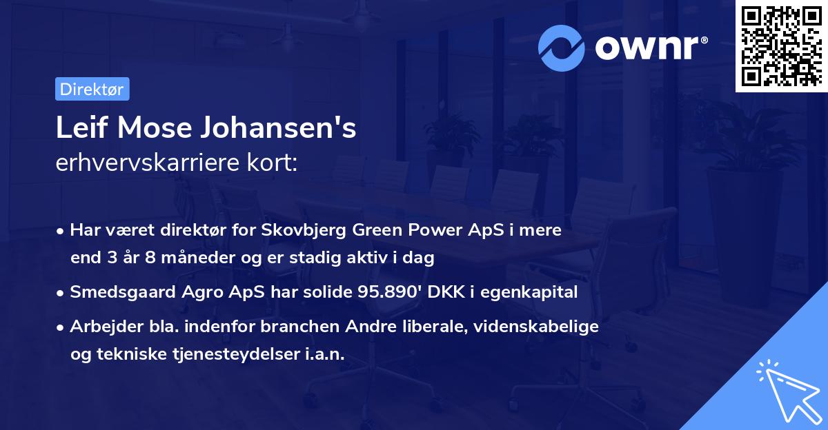Leif Mose Johansen's erhvervskarriere kort