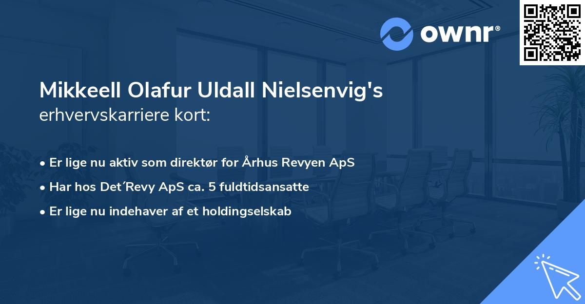 Mikkeell Olafur Uldall Nielsenvig's erhvervskarriere kort