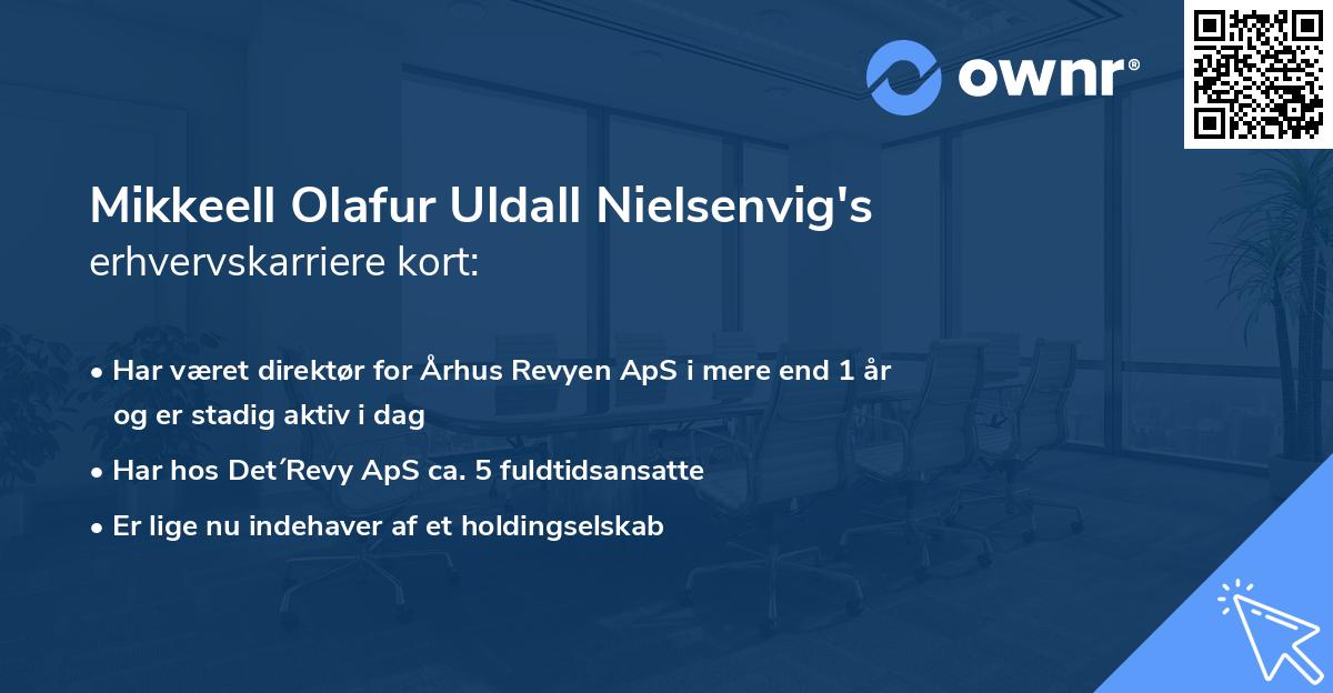 Mikkeell Olafur Uldall Nielsenvig's erhvervskarriere kort