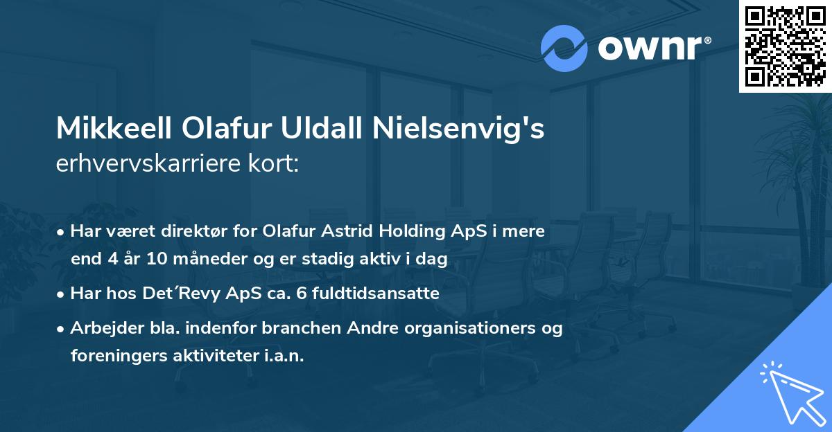 Mikkeell Olafur Uldall Nielsenvig's erhvervskarriere kort