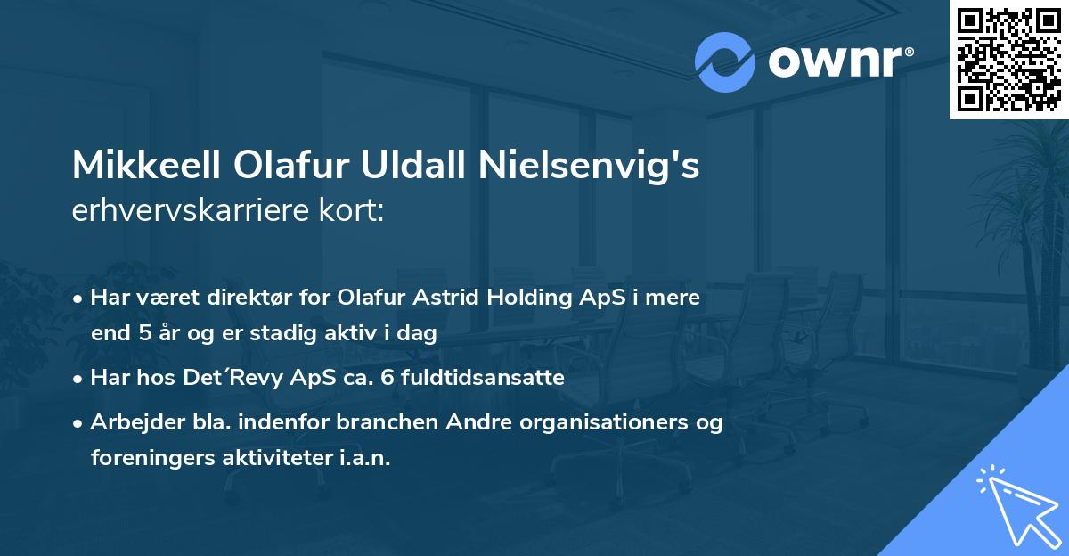 Mikkeell Olafur Uldall Nielsenvig's erhvervskarriere kort