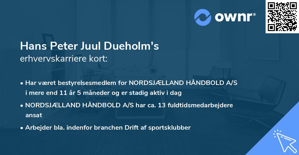Hans Peter Juul Dueholm's erhvervskarriere kort