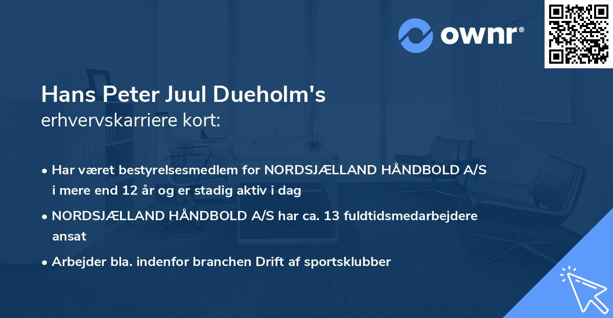 Hans Peter Juul Dueholm's erhvervskarriere kort