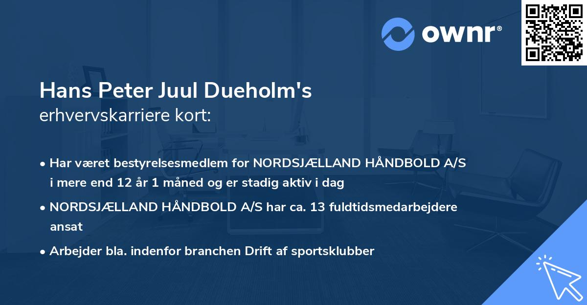 Hans Peter Juul Dueholm's erhvervskarriere kort