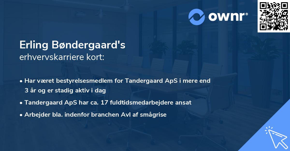 Erling Bøndergaard's erhvervskarriere kort