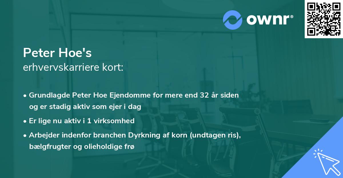 Peter Hoe's erhvervskarriere kort