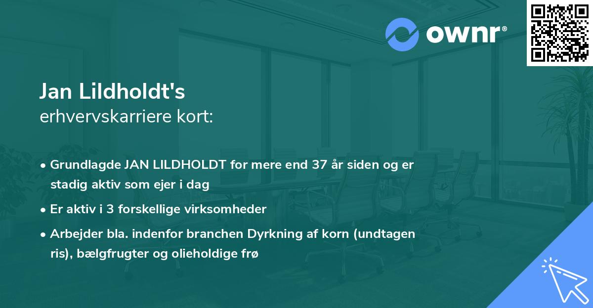 Jan Lildholdt's erhvervskarriere kort