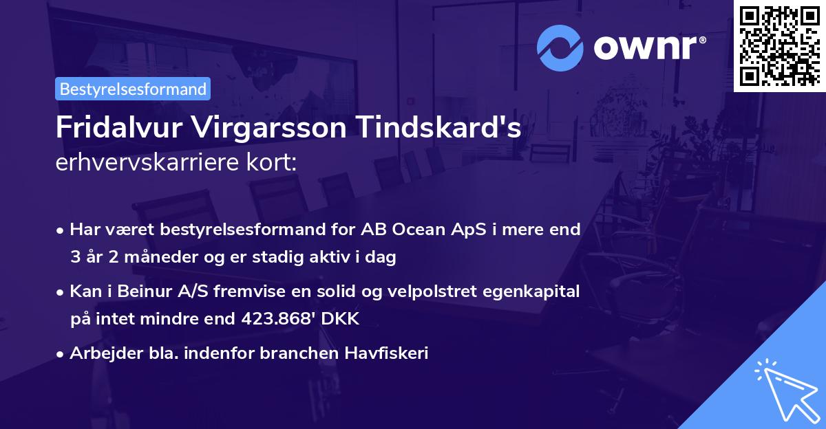 Fridalvur Virgarsson Tindskard's erhvervskarriere kort