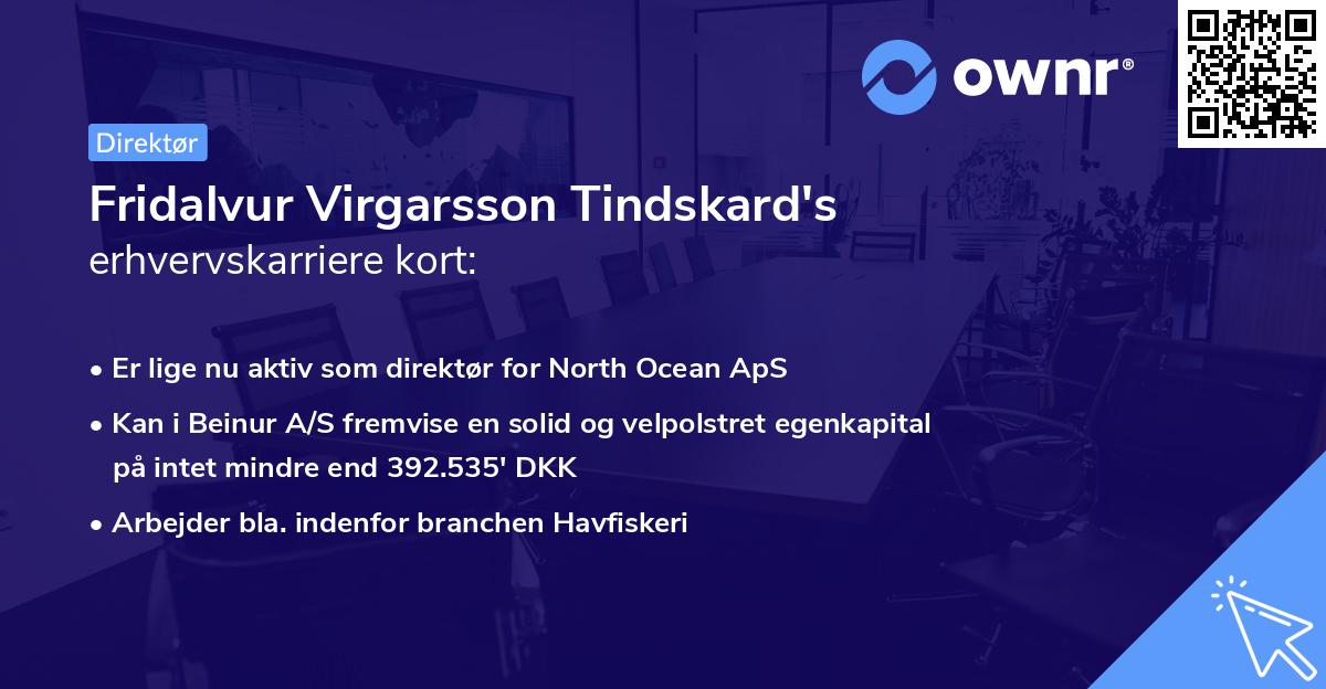 Fridalvur Virgarsson Tindskard's erhvervskarriere kort