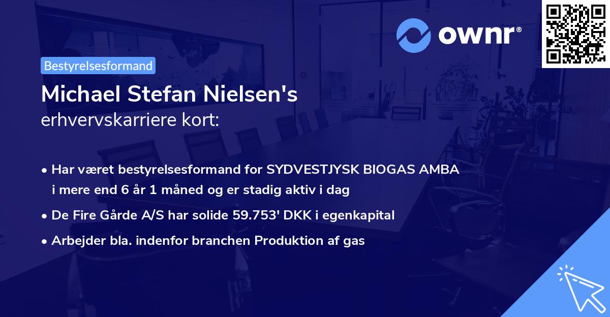 Michael Stefan Nielsen's erhvervskarriere kort