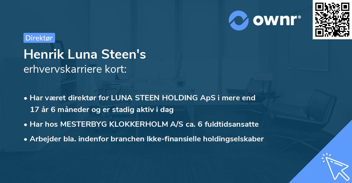 Henrik Luna Steen's erhvervskarriere kort