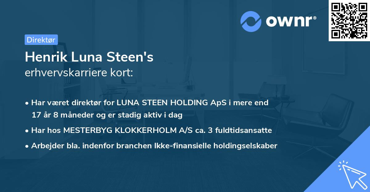 Henrik Luna Steen's erhvervskarriere kort