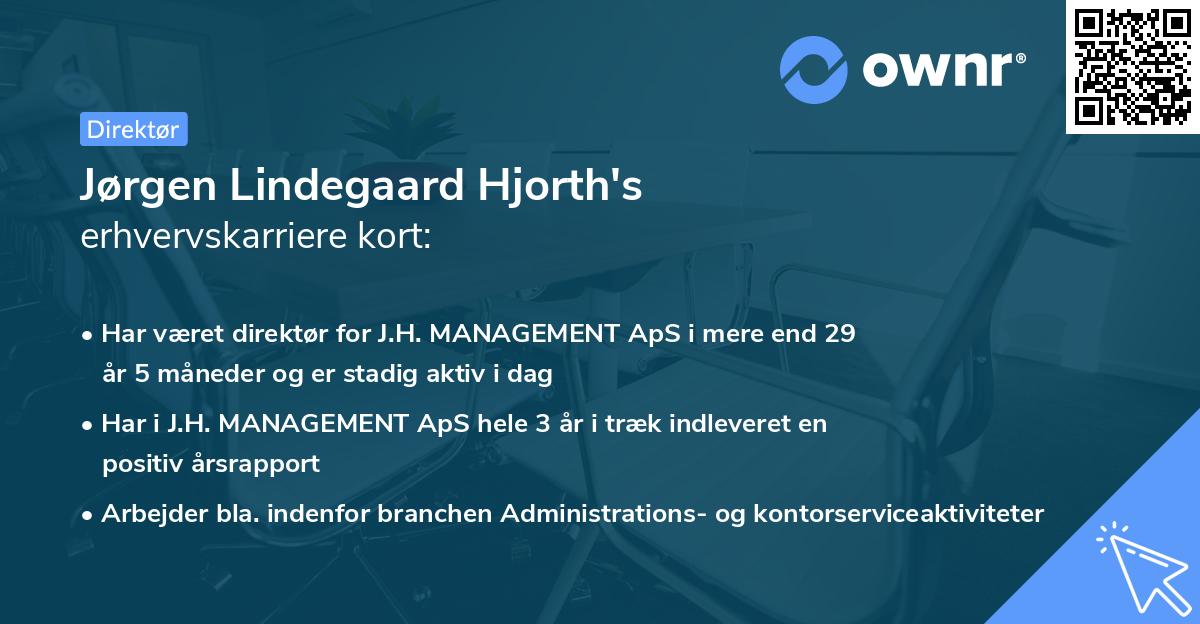 Jørgen Lindegaard Hjorth's erhvervskarriere kort