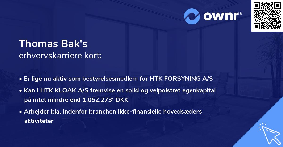 Thomas Bak's erhvervskarriere kort