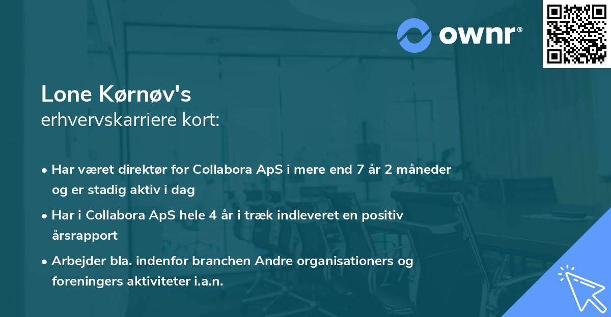 Lone Kørnøv's erhvervskarriere kort