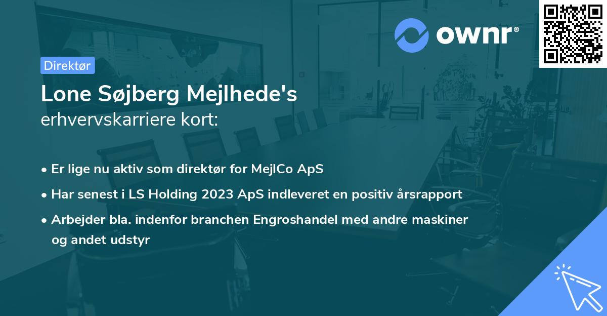 Lone Søjberg Mejlhede's erhvervskarriere kort