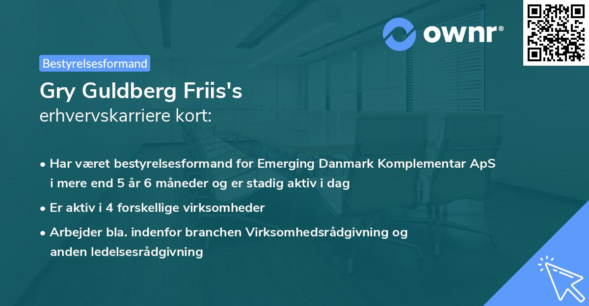 Gry Guldberg Friis's erhvervskarriere kort