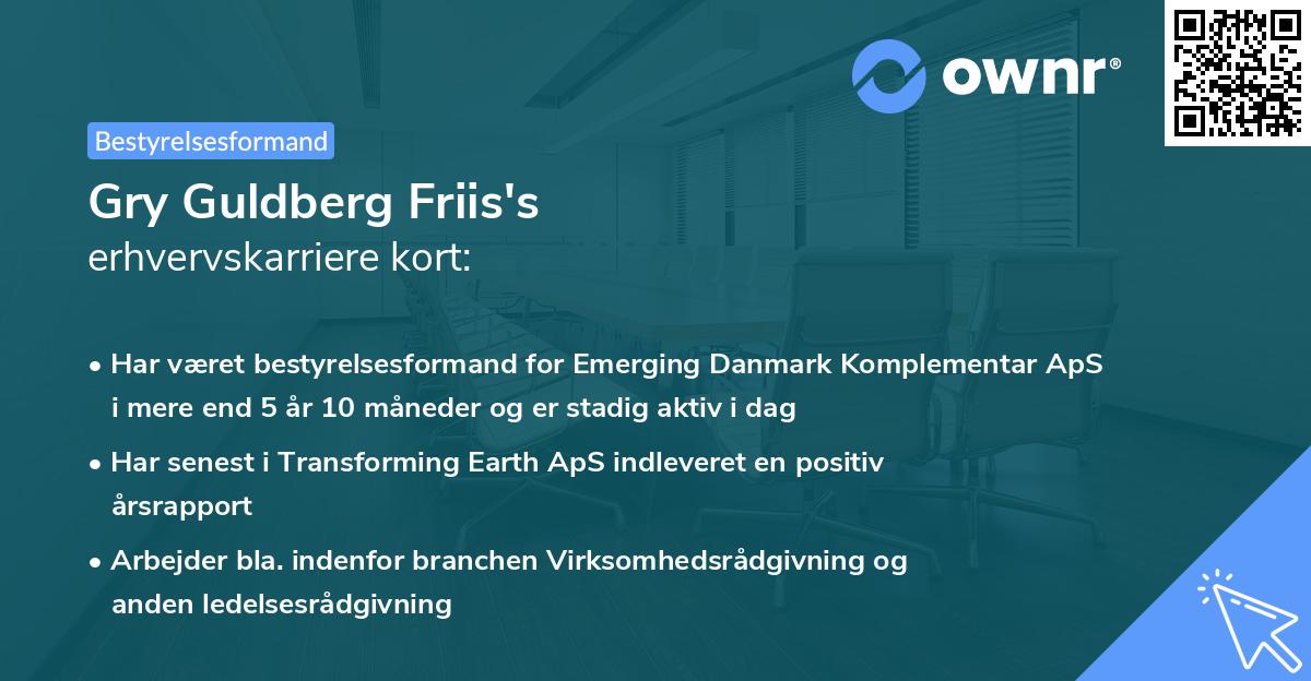 Gry Guldberg Friis's erhvervskarriere kort
