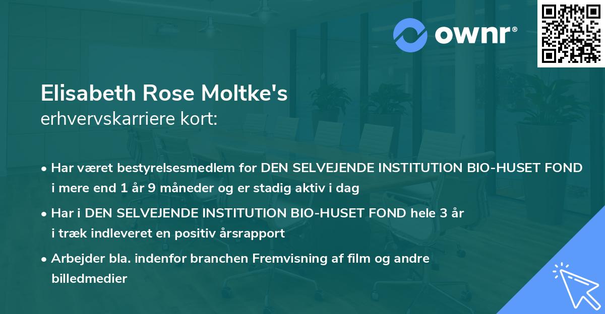 Elisabeth Rose Moltke's erhvervskarriere kort