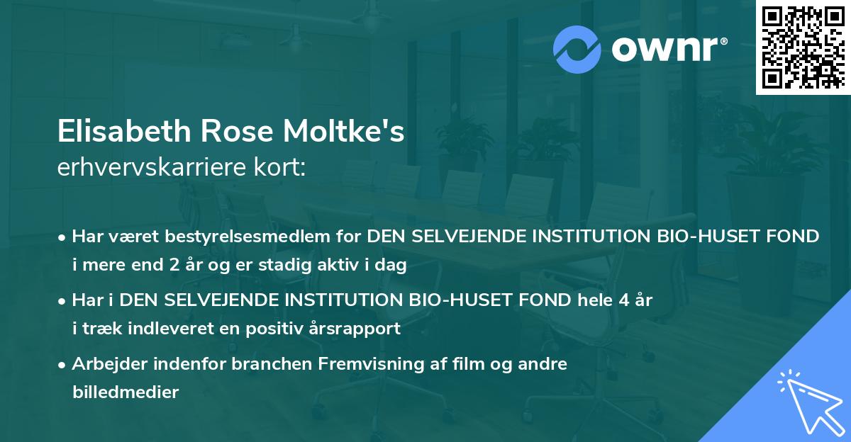 Elisabeth Rose Moltke's erhvervskarriere kort